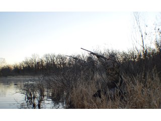 Property photo 32 - REAL ESTATE AUCTION - 1,000+/- ACRES OFFERED IN 10 TRACTS IN PITTSBURG CO., OKLAHOMA